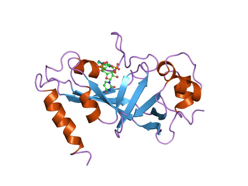 File:PDB 1dtp EBI.jpg