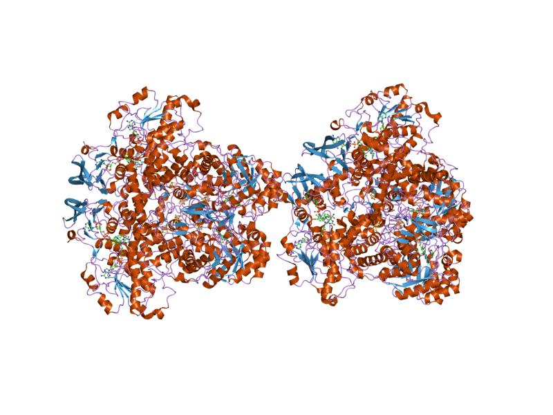 File:PDB 1gth EBI.jpg