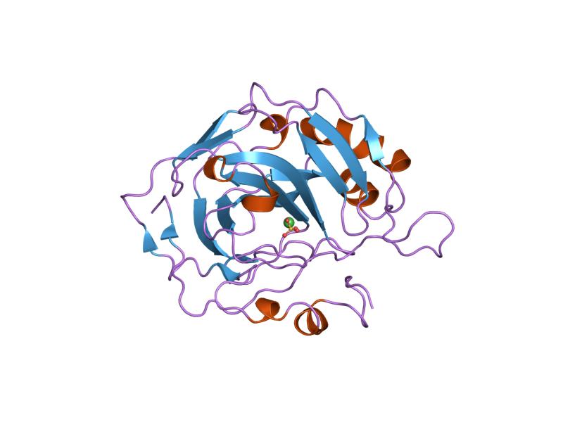 File:PDB 1rze EBI.jpg