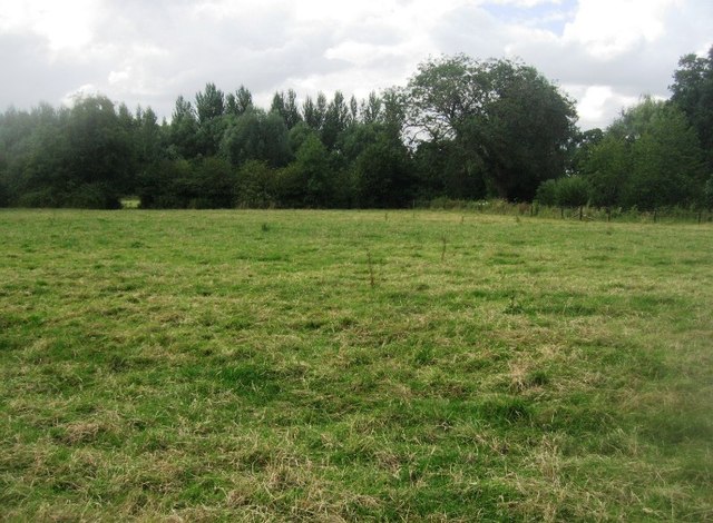 File:Pasture by the river Loddon - geograph.org.uk - 4092001.jpg