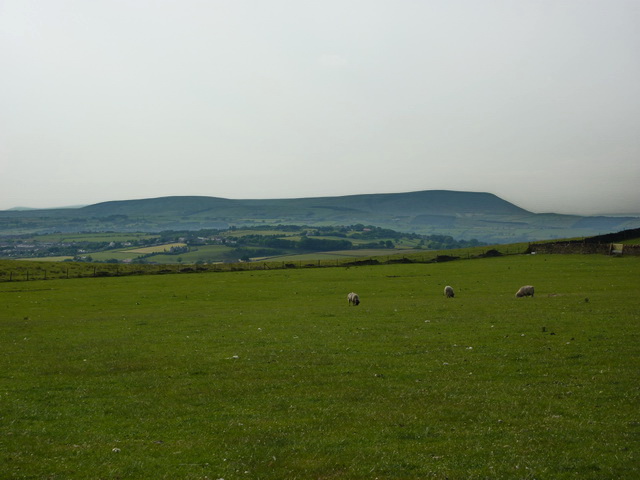 File:Pasture north west of Sweet Well House - geograph.org.uk - 1941210.jpg
