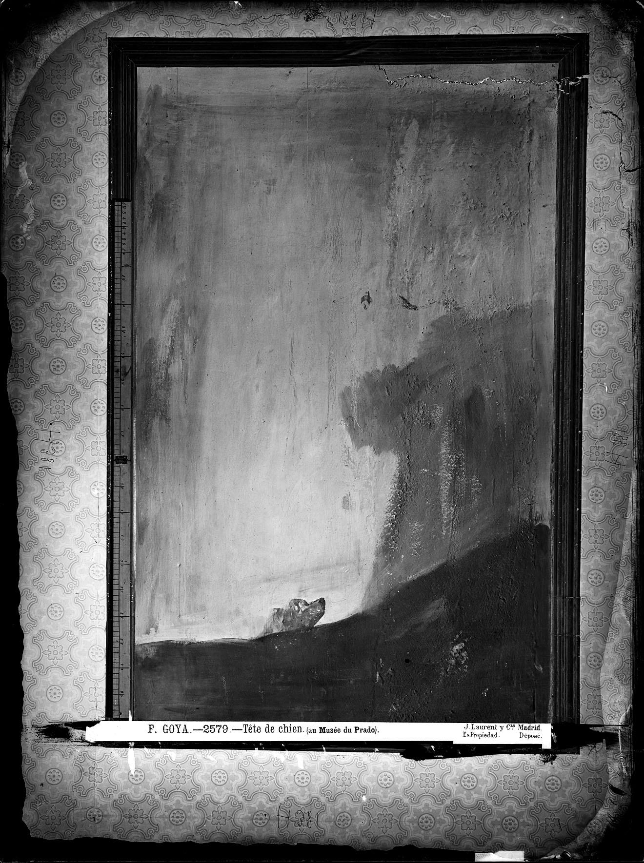 Fichier:Pinturas Negras de Goya, "El perro" o "Perro semihundido",  fotografía de J. Laurent en 1874, en el interior de la Quinta del Sordo,  posiblemente con iluminación eléctrica, VN-06583 P.jpg — Wikipédia