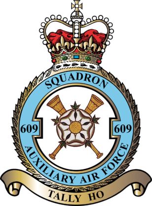 <span class="mw-page-title-main">No. 609 Squadron RAF</span> Military unit