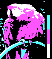 File:Screen color test CGA 4colors Mode4 Palette1 HighIntensity.png