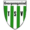 File:TSVGeorgensgmünd.gif