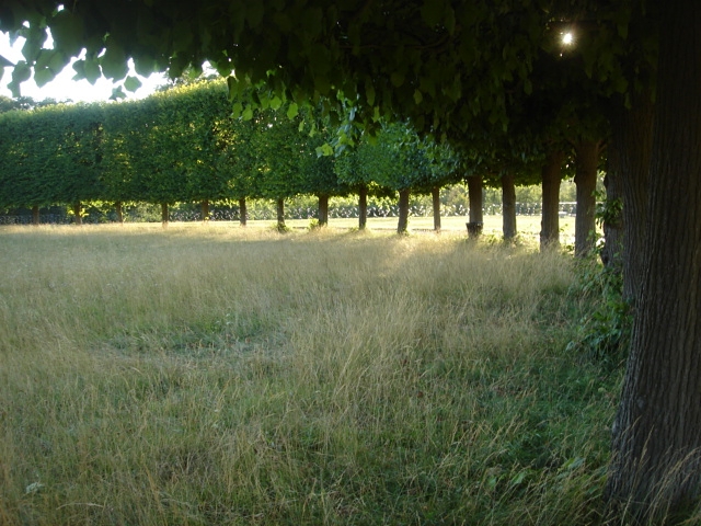 File:Terrasse de Saint-Germain demi lune 04035.jpg