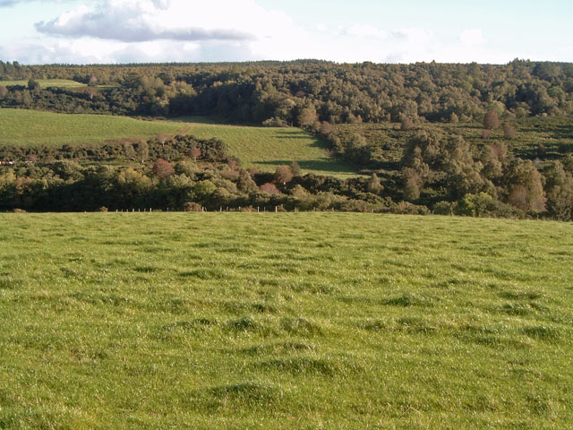 File:The valley sides along the Muckle Burn - geograph.org.uk - 266437.jpg