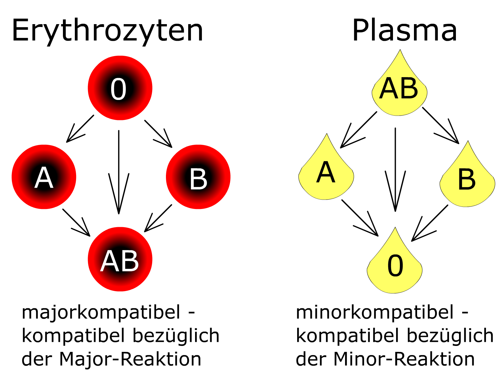 Cross matching. Универсальный реципиент группа крови. Универсальный донор и реципиент. Универсальный донор и универсальный реципиент. Универсал реципиент.