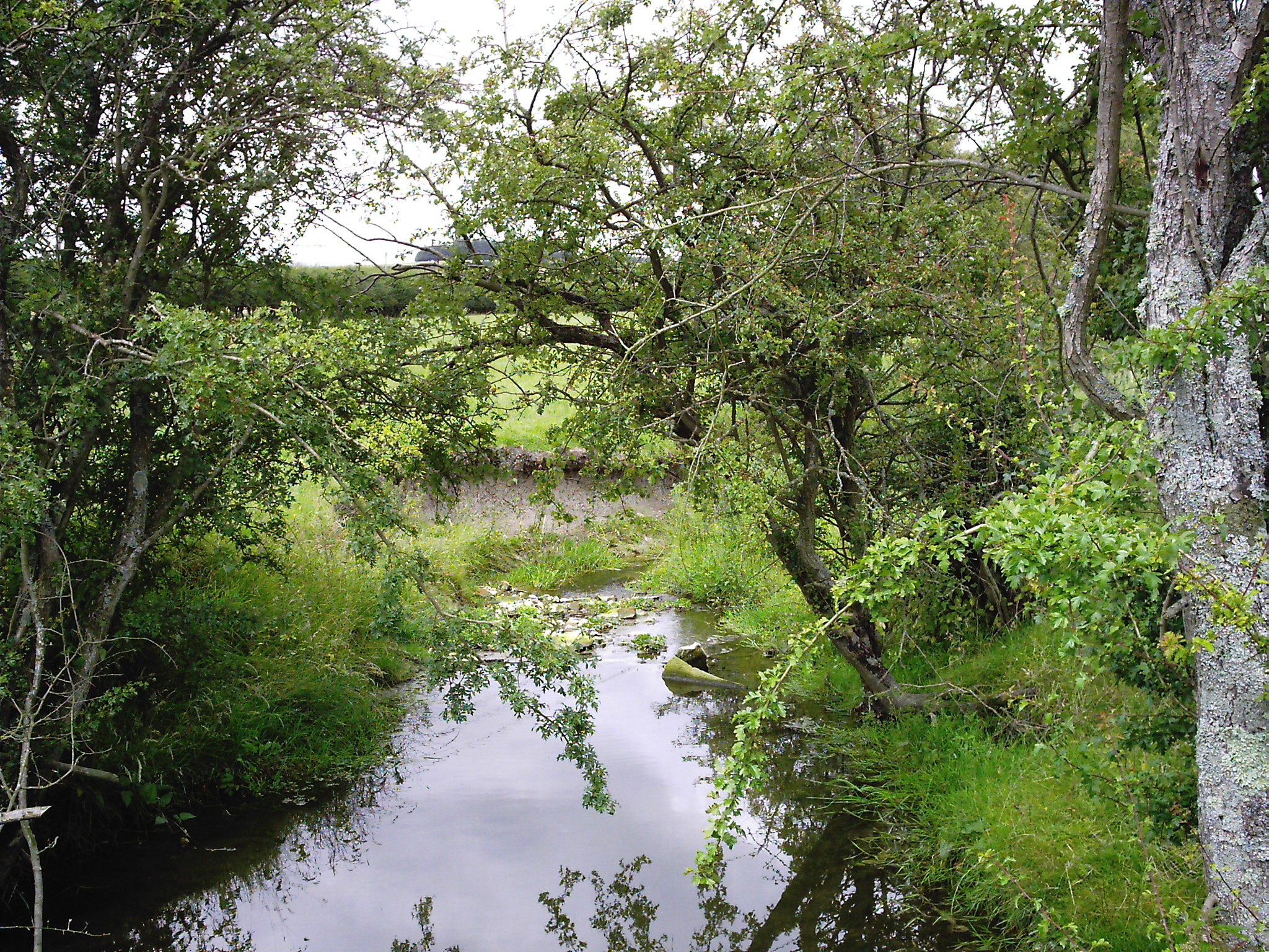 Source of the river