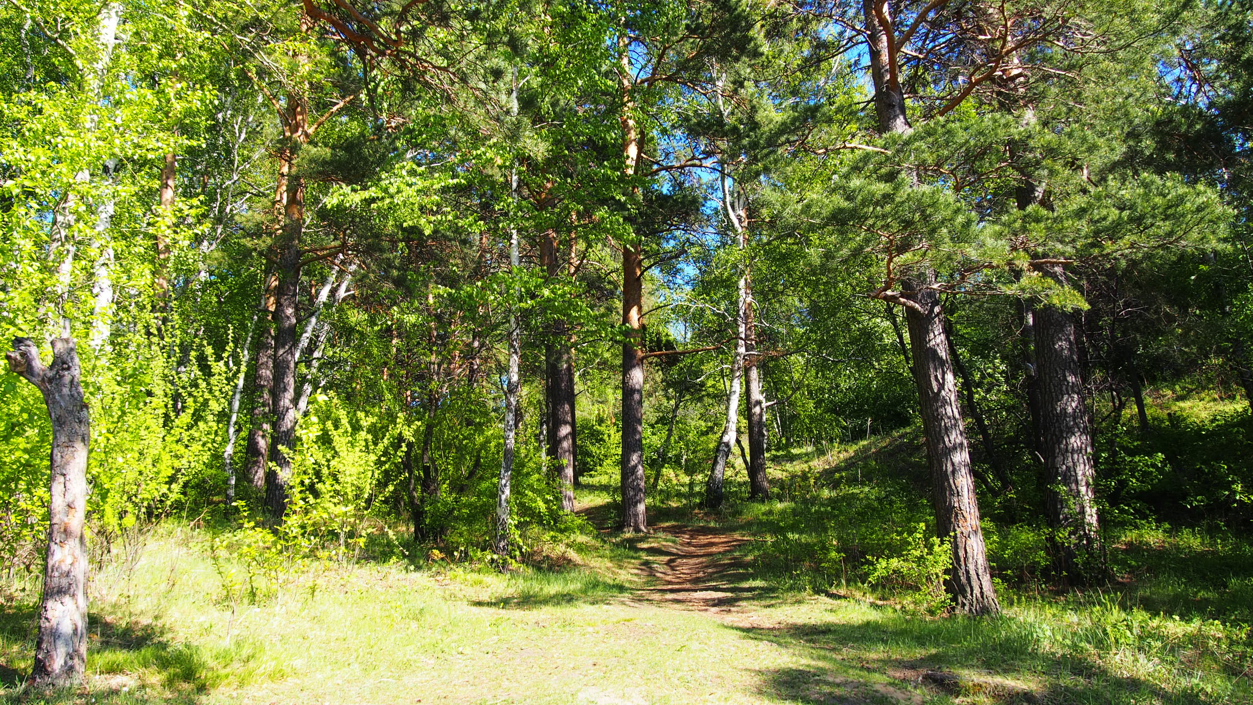 курорт ангара иркутск