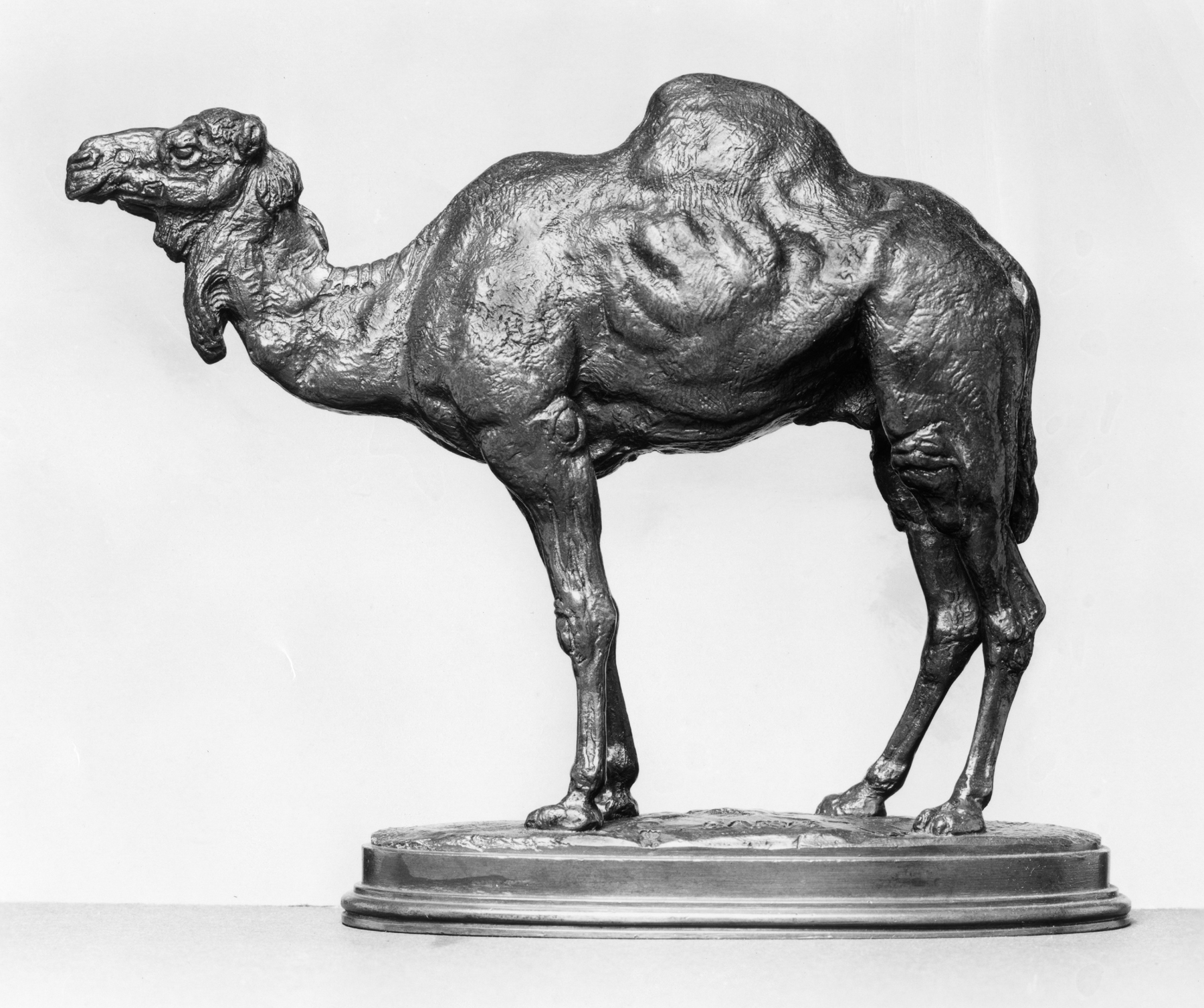 Верблюд скульптура