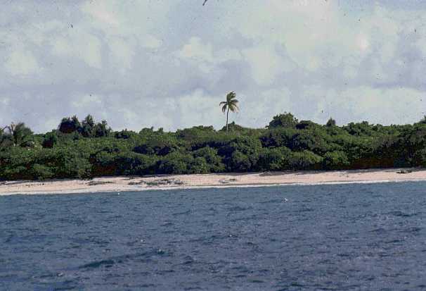 File:Beach at Bikini Atoll.jpg