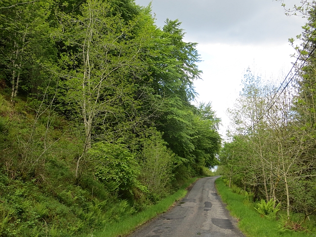 File:Between Inverinan and Dalavich - geograph.org.uk - 4010604.jpg