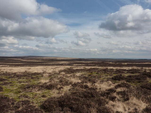 File:Big Moor - geograph.org.uk - 1755788.jpg