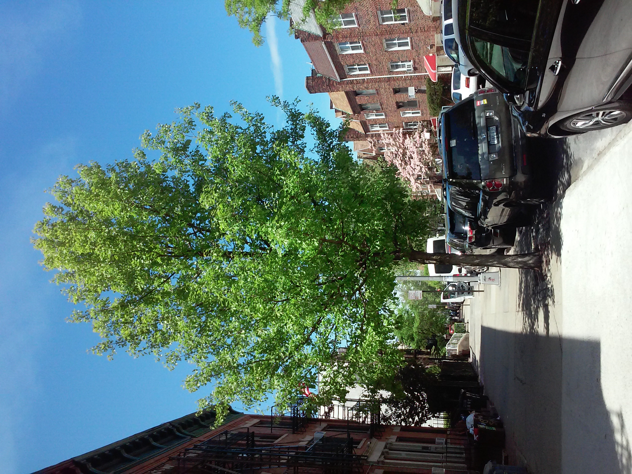 Brooklyn 3rd avenue & 68th street in May 2018.jpg. 