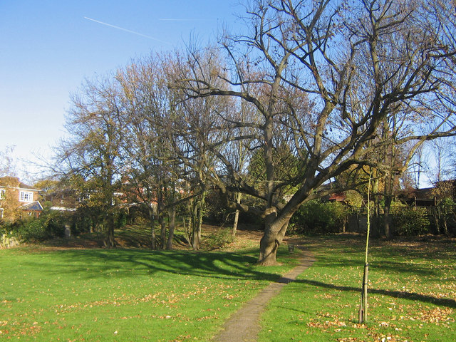 File:Broxbourne Gardens - geograph.org.uk - 608698.jpg