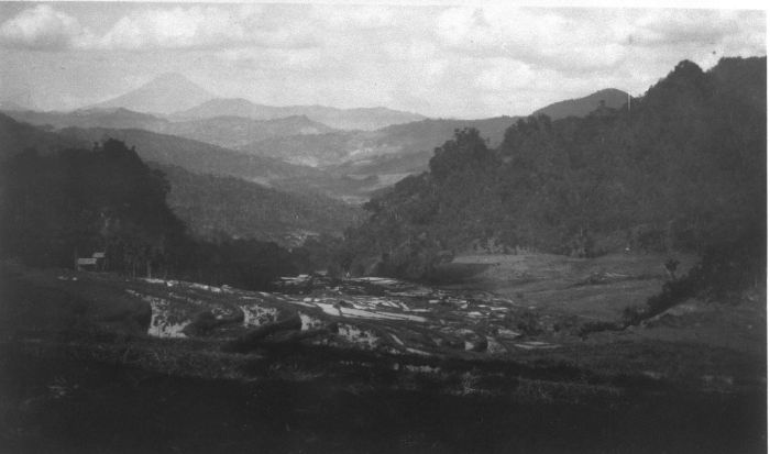 File:COLLECTIE TROPENMUSEUM Het terrassen landschap van Midden Java langs de weg van Karangkobar naar Bandjarnegara TMnr 60010924.jpg