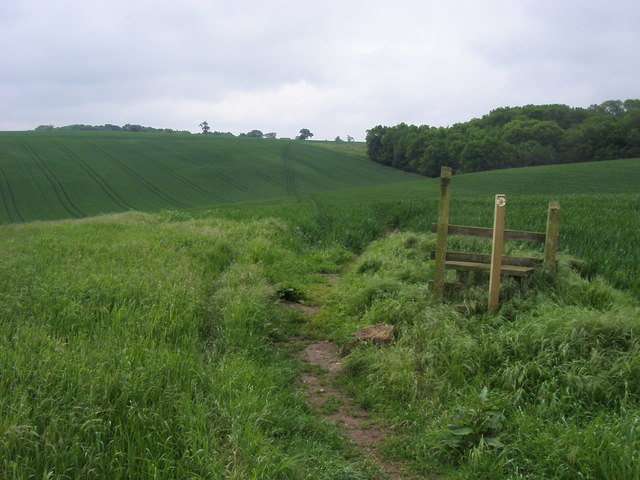 File:Chiltern Way - geograph.org.uk - 829731.jpg