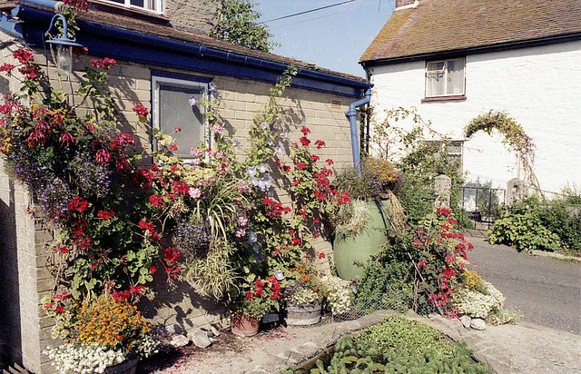 File:Cottage in Cat Lane Stourton Caundle - geograph.org.uk - 777801.jpg