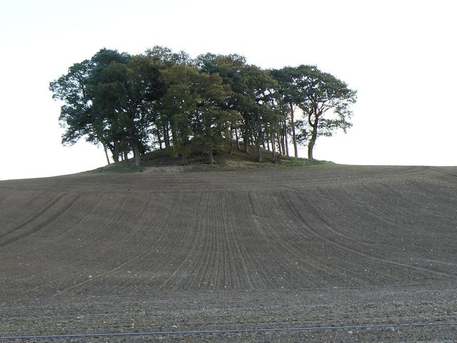 File:Couttie Law - geograph.org.uk - 278662.jpg