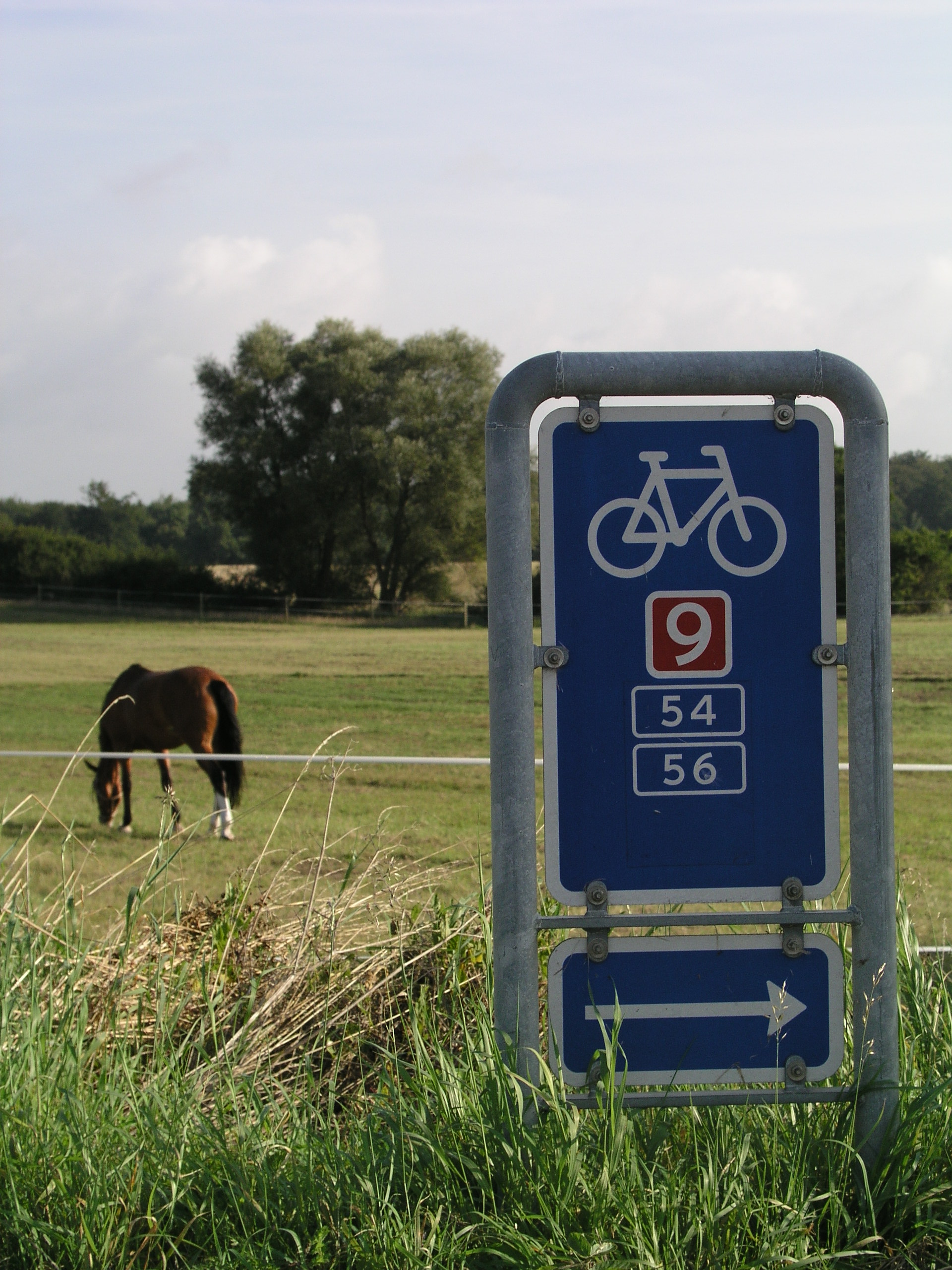 Danmarks cykelruter - den encyklopædi