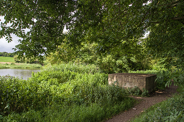 Defending neutral Ireland in WWII, Boyne defences - Battle of the Boyne site pillbox (1) - geograph.org.uk - 5030074