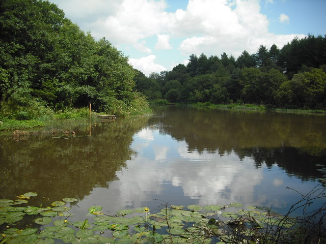 Eliburn Reservoir - geograph.org.uk - 1979924