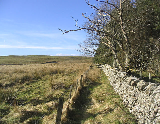 File:Field-woodland boundary - geograph.org.uk - 340909.jpg