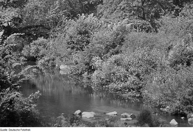 File:Fotothek df roe-neg 0006002 021 Landschaft im Spreetal.jpg