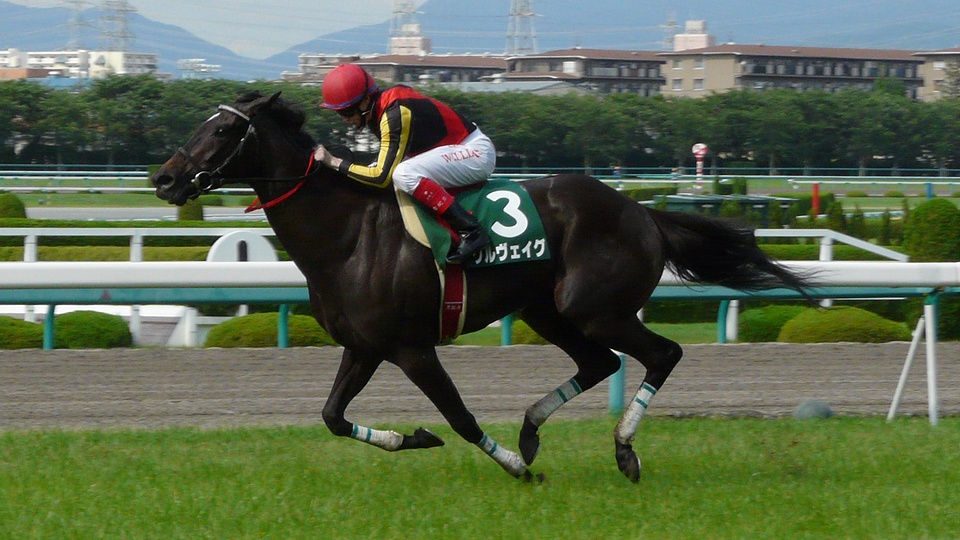 グルヴェイグ 競走馬 Wikipedia