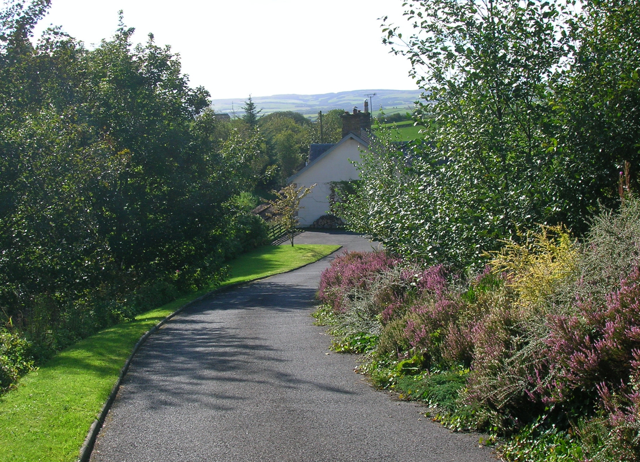 Hollybush railway station