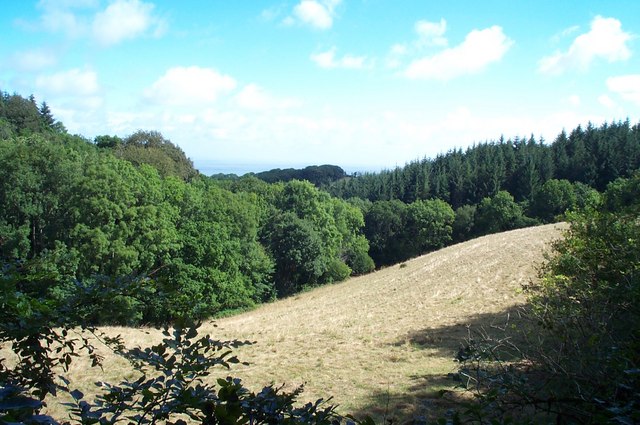 File:Hopcott Brake - geograph.org.uk - 212816.jpg