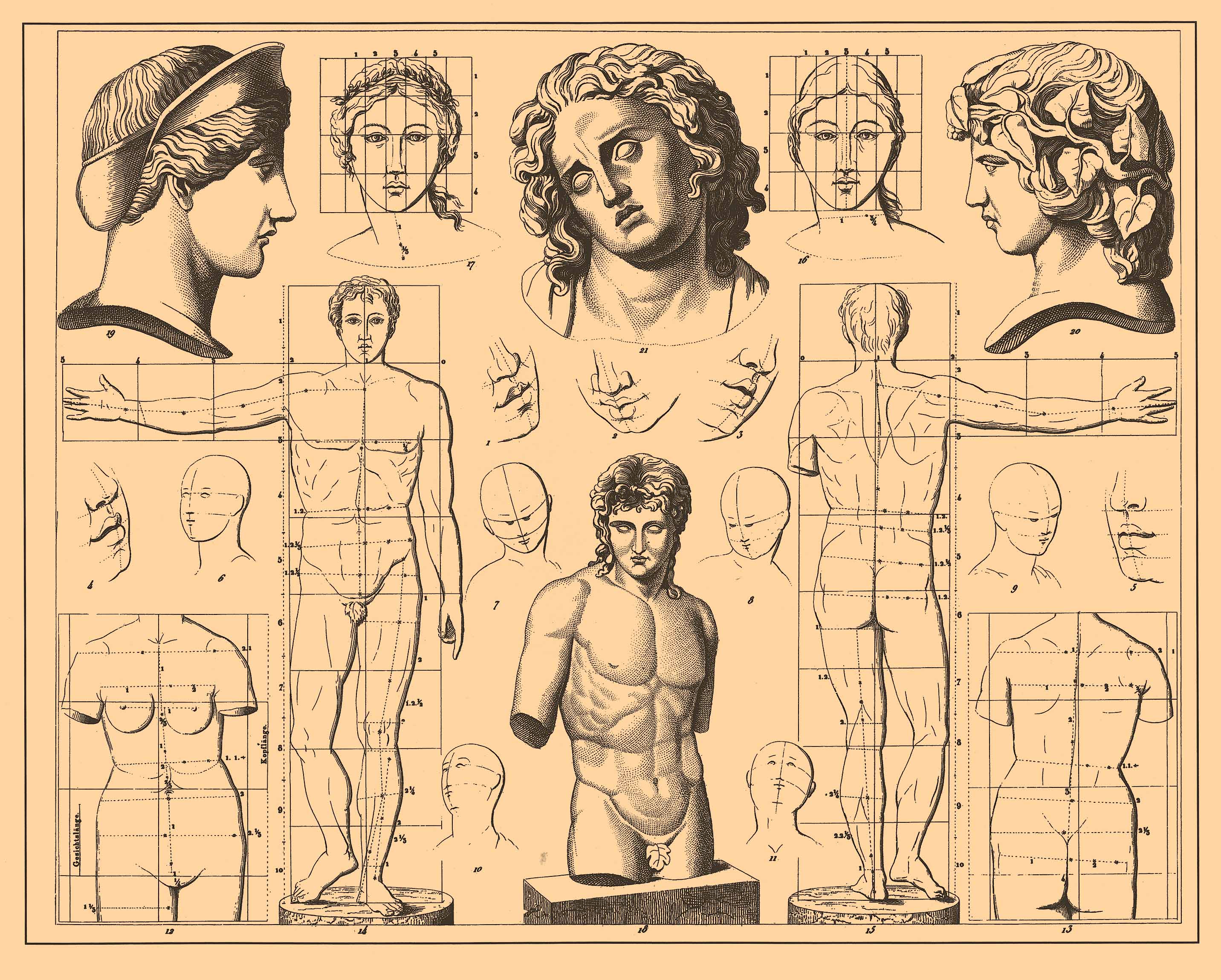 Пропорции человека в древней Греции
