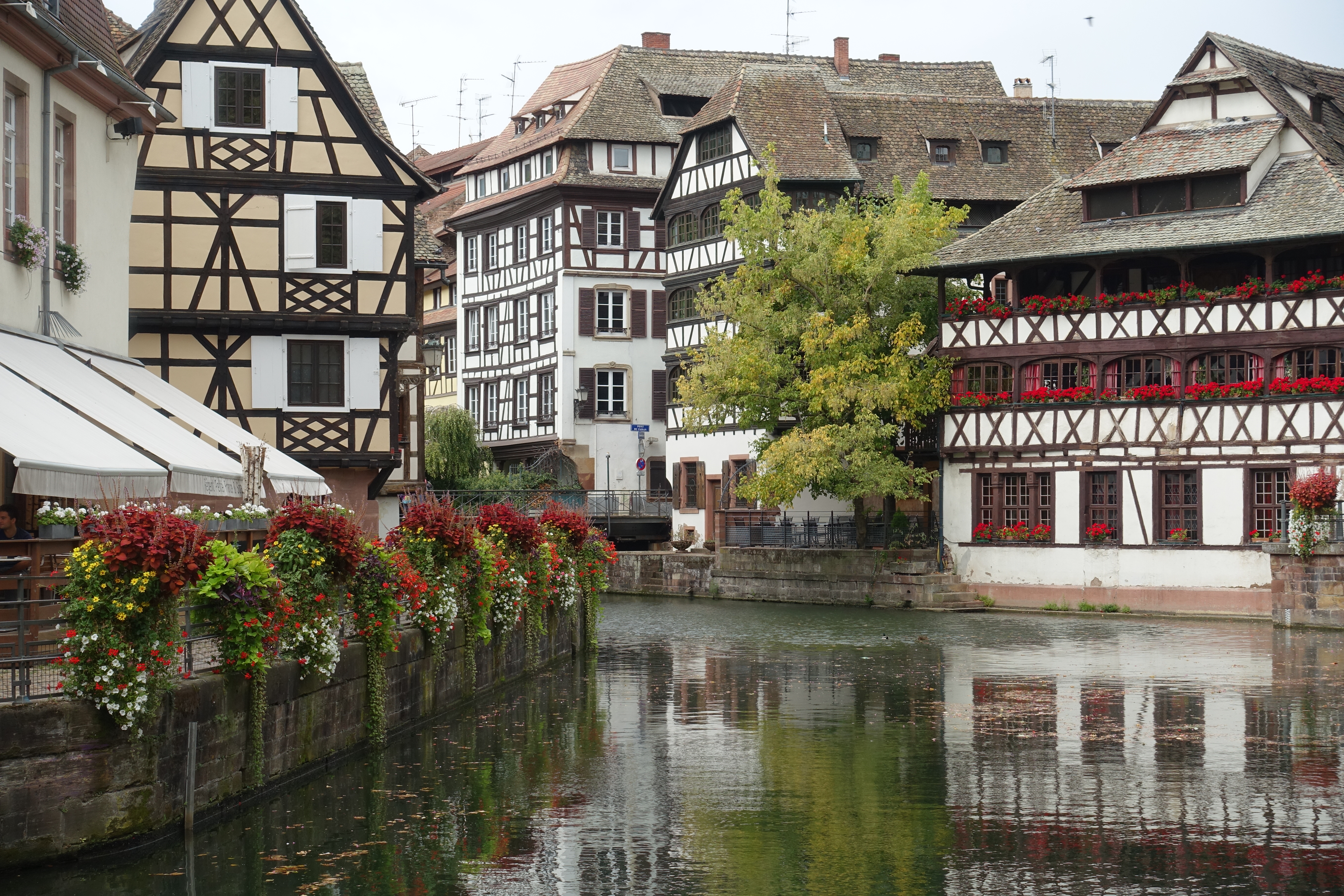 Страсбург фото. Гранд Иль Страсбург. Grande Иль - де - Страсбург. Большой остров Страсбург. Страсбург окраина.