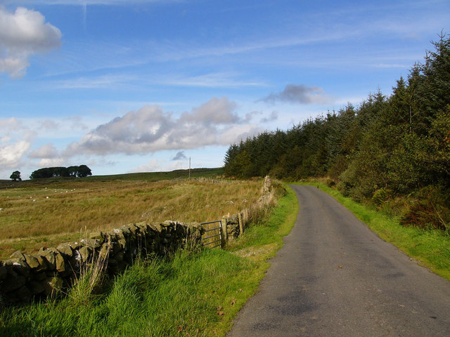 File:Knockiebae Plantation - geograph.org.uk - 563749.jpg