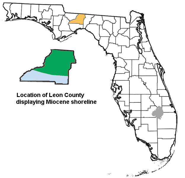 File:Leon County Florida exploding 600px.png