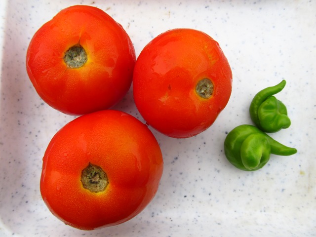 File:Lovely tomatoes.jpg
