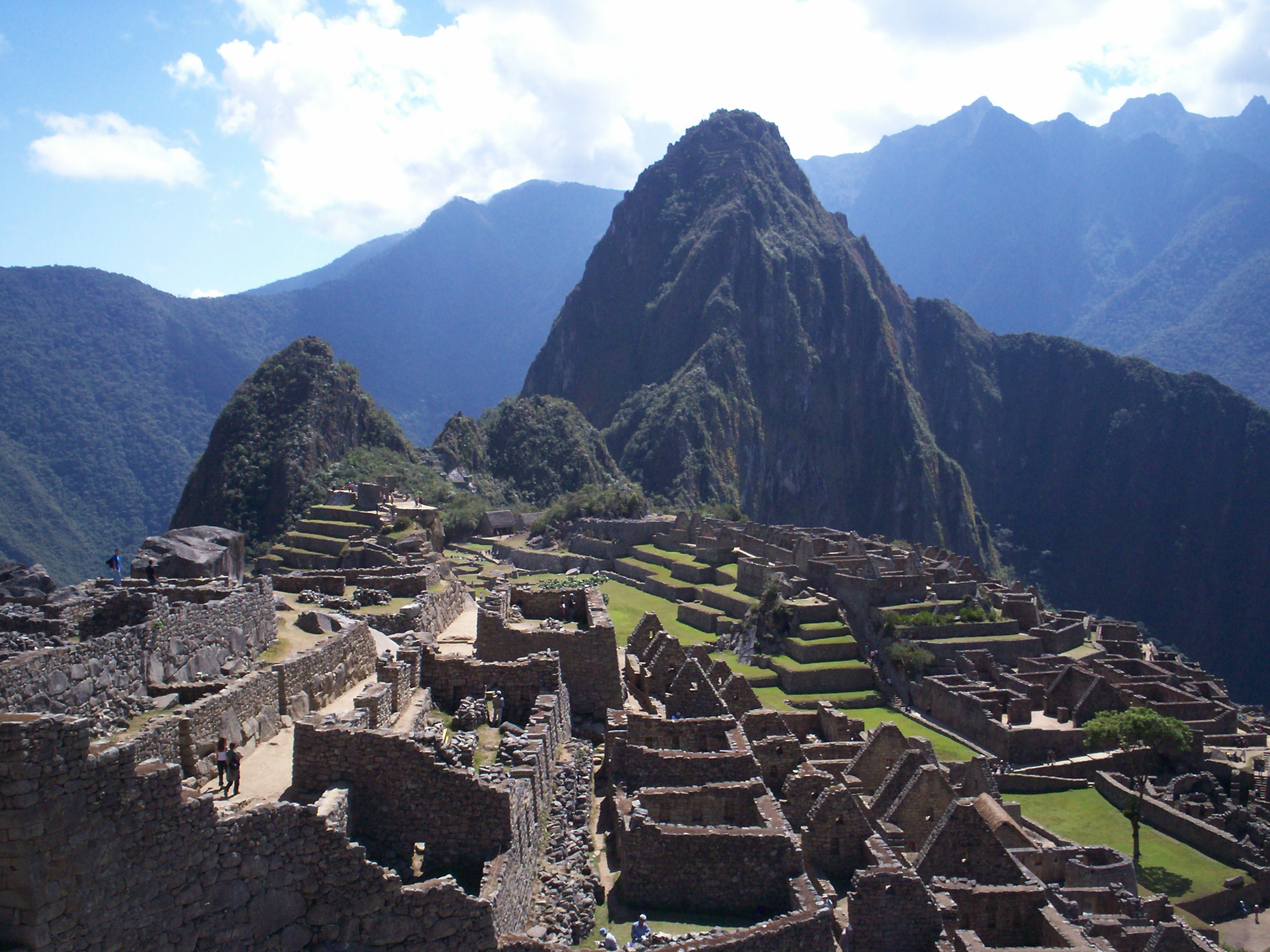 Орхидея machu Picchu