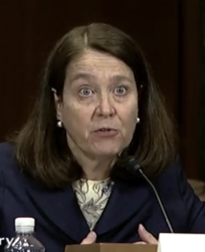 File:Mary Kay Vyskocil (Judge) (cropped).jpg