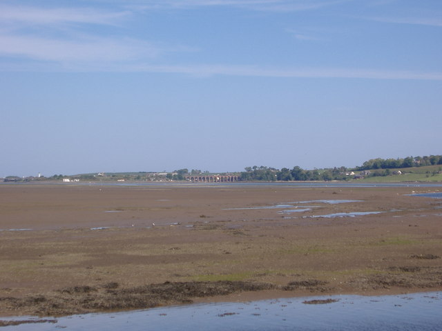 Montrose Basin - geograph.org.uk - 283017