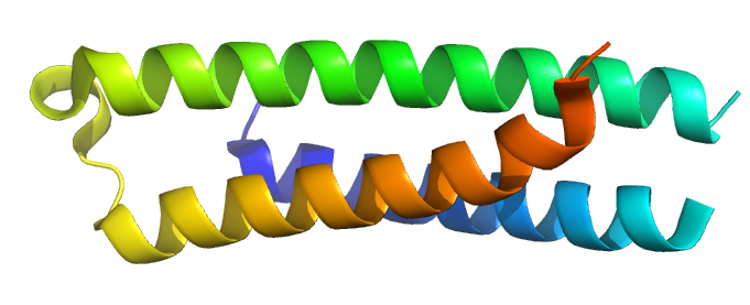 File:Pdb4dnd.png