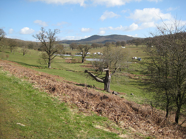 Ponds in Eastnor Deer Park - geograph.org.uk - 746492