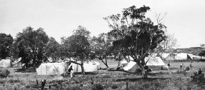 File:Queensland State Archives 1153 Camping ground Mooloolaba January 1931.png