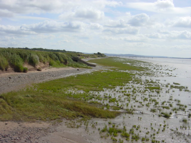 Saltmarsh and clay cliffs near old Liverpool airport - geograph.org.uk - 41927
