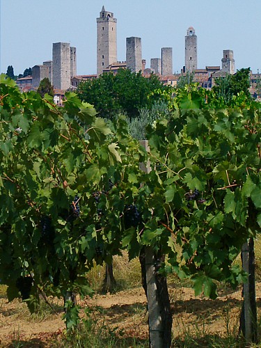 http://upload.wikimedia.org/wikipedia/commons/2/28/Sangimignano0001.jpg