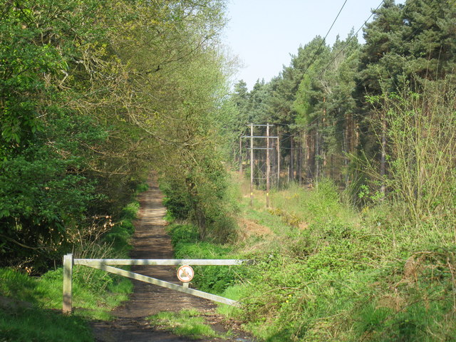 Vicarage Road Gate - geograph.org.uk - 1262523