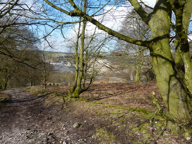 Walking up through Black Rocks Country Park - geograph.org.uk - 1734185