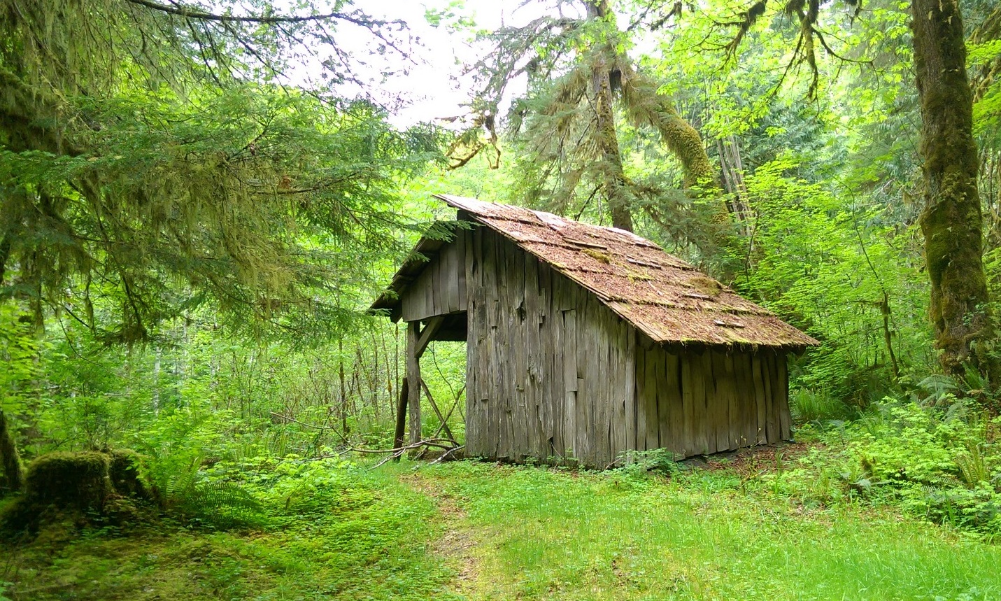 Natural shelter