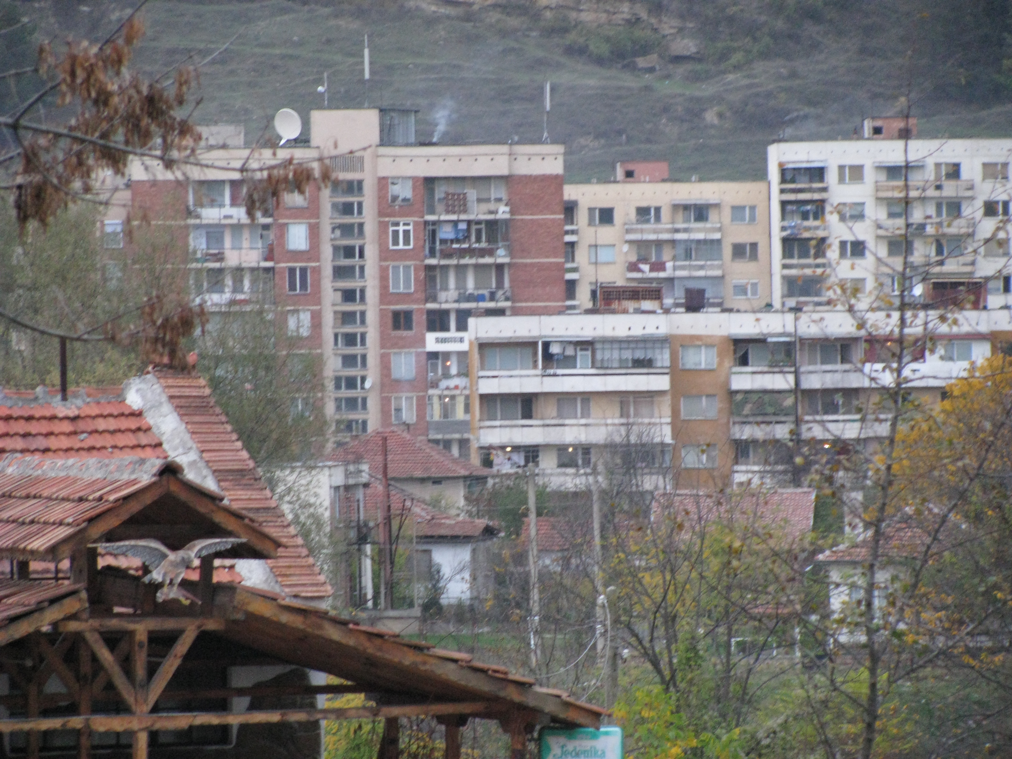 Город враца болгария