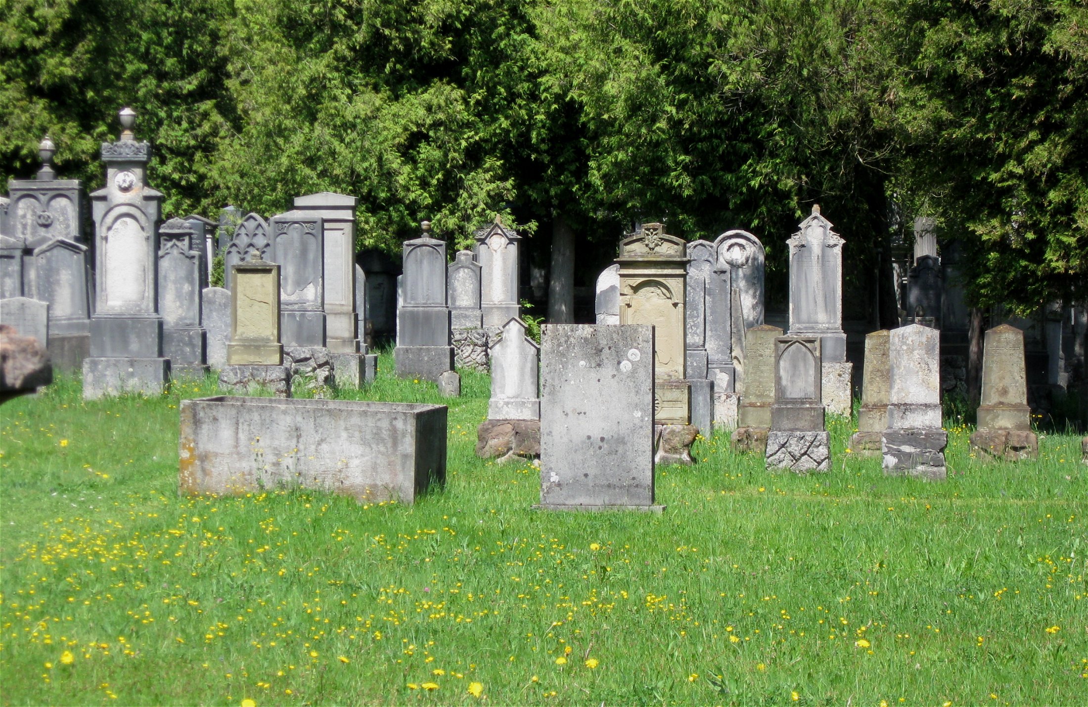 Список кладбищ. Мистические места Германии Illenauer Friedhof. Кладбище Мюнхен. Кладбище в Мюнхене Каролина. Лесное кладбище Мюнхен.